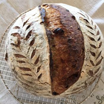 NANCY Various versions of Country Bread second overview