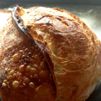 Ninho croissant e panettones e pizzas second overview