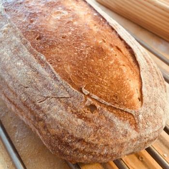 NoName Standard loaf first overview