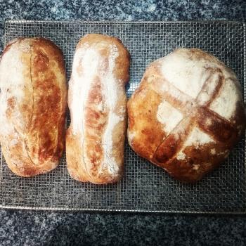 Nonna Bread first overview