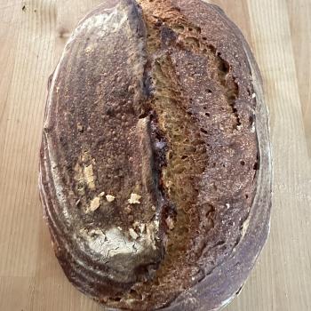 Old Sally Guinness sourdough first overview