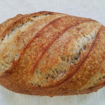 Olive Sunny Sourdough first overview
