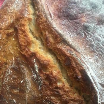 Olivia2018 Bread second slice
