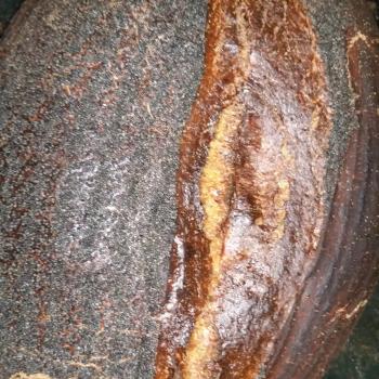 Onion Poppy Seed Sourdough Onion Poppy Seed Sourdough first overview