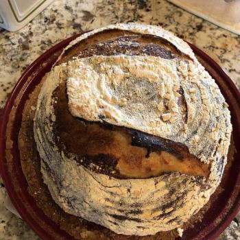 Pams special sourdough Sourdough loaves first overview