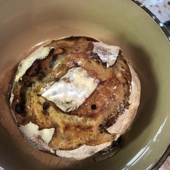 Pams special sourdough Sourdough loaves second overview