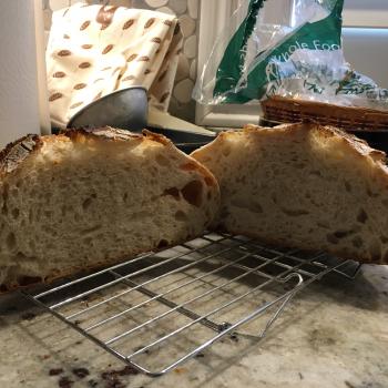 Panyvino recipe