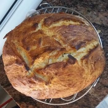 Peggy sue Sourdough bread first overview