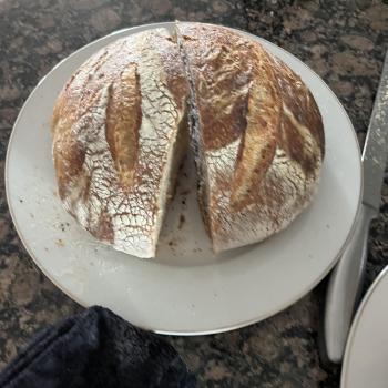 Pepitas  Sourdough  second overview