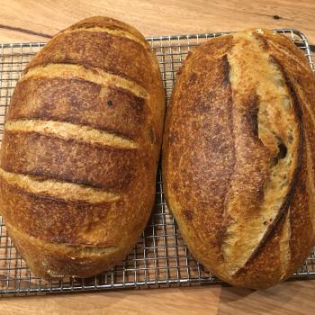 Phoenicia Bread, baguettes, rolls, focacia, pizza, cakes. second overview