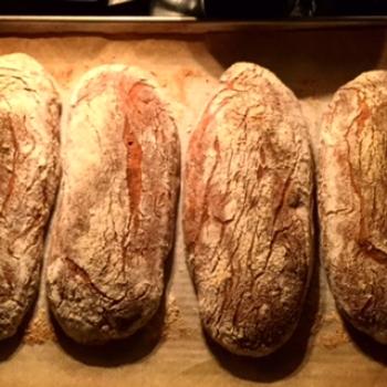 Rabban the Beast spelt ciabatta first overview