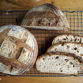 Ralph Rustic almost white first slice