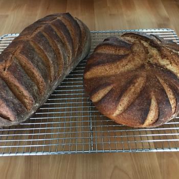 Rye Starter recipe