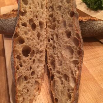 Ryenoceros Various Assortment of Breads first overview