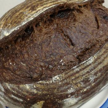 Sally Sourdough bread first overview