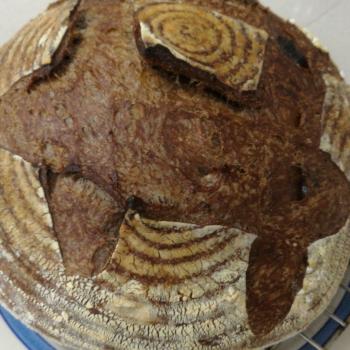 Sally Sourdough bread second slice