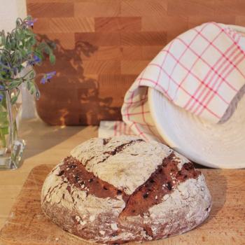 September starter Sourdough beetroot bread second overview