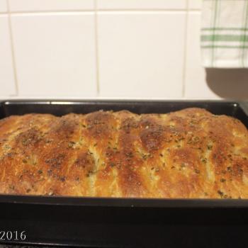 September starter Sourdough focaccia second overview