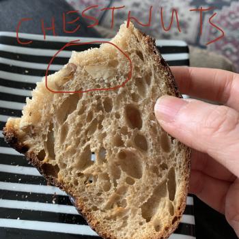 Sourpuss Sourdough with chestnuts and nutmeg second overview
