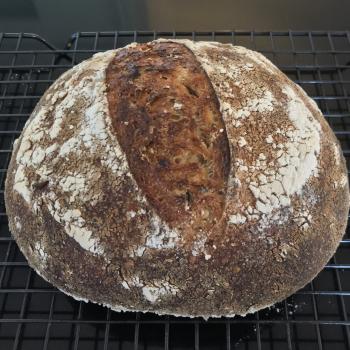 Sozzy (S for Sourdough and Ozzy for Aussie)  second overview