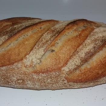 Spelt Sourdough Bread second overview