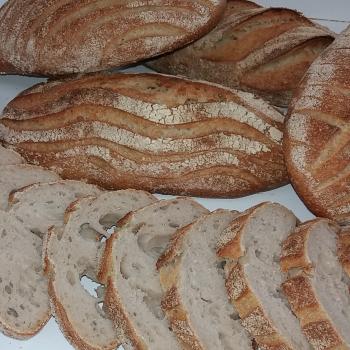 Spelt Sourdough Bread first slice