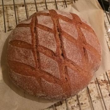 Spelty Spelt loaves first overview