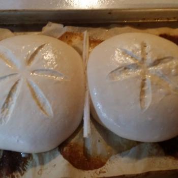 Spokan Bread second overview