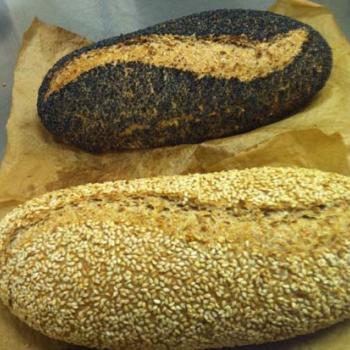 sprouted sourdough country wheat second overview