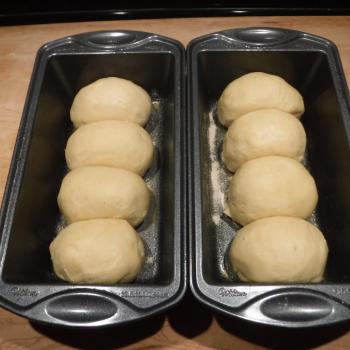 St John's Sourdough Brioche & Babka first overview
