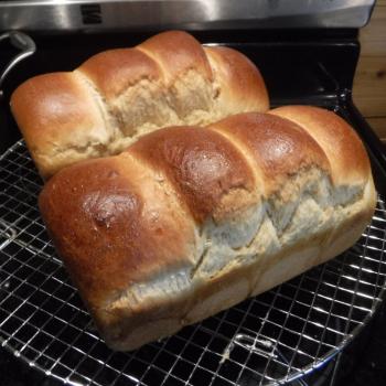 St John's Sourdough Brioche & Babka first slice