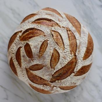 Stanton Starter Sourdough first overview