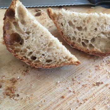 Starter Artisan Sourdough Creations second overview