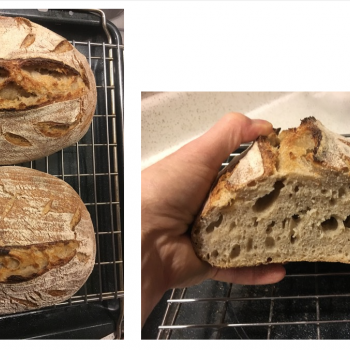 Starvin' Marvin Walnut/Apricot/Red Quinoa Sourdough Bread second overview