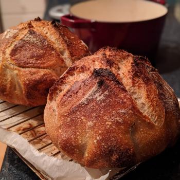 Стёпа Bread! first overview