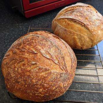 Стёпа Bread! second overview