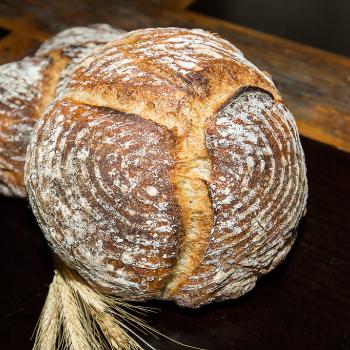 Susie Breads: first overview