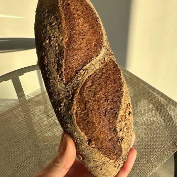 TEFF pan TEFF con chia first overview