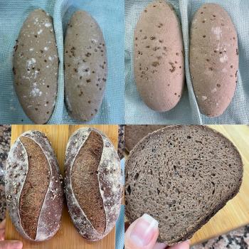 TEFF pan TEFF con chia first slice