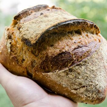 Terente Breads, sweet doughs, enriched doughs, waffles and many more first overview