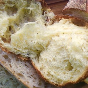 Terente Breads, sweet doughs, enriched doughs, waffles and many more second slice