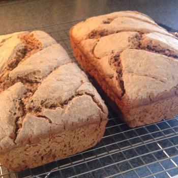 The Alchemist Basic 100% whole rye sourdough second overview