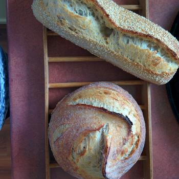 The baby House loaves second overview