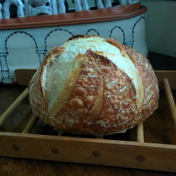 The baby House loaves first slice