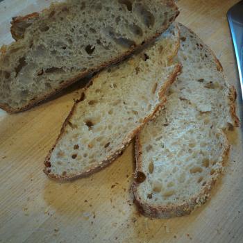 The baby House loaves second slice