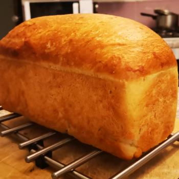 The Hulk Experimental bread. first overview