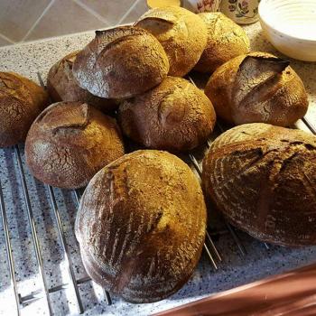 Tom Seaver Rye breads,Bagels,Pretzels,Waffles first overview