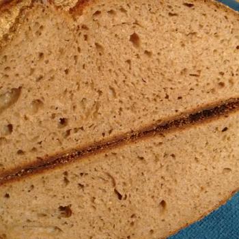 Tony Whole wheat and Rye second overview