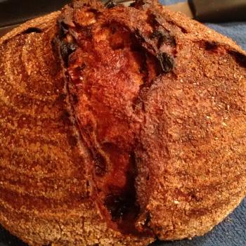 Tony Whole wheat raisin walnut first overview