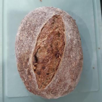 V9 Cranberry Whole What Bread second overview